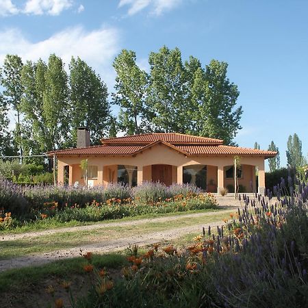 Casona Aventurados Villa Lujan de Cuyo Dış mekan fotoğraf