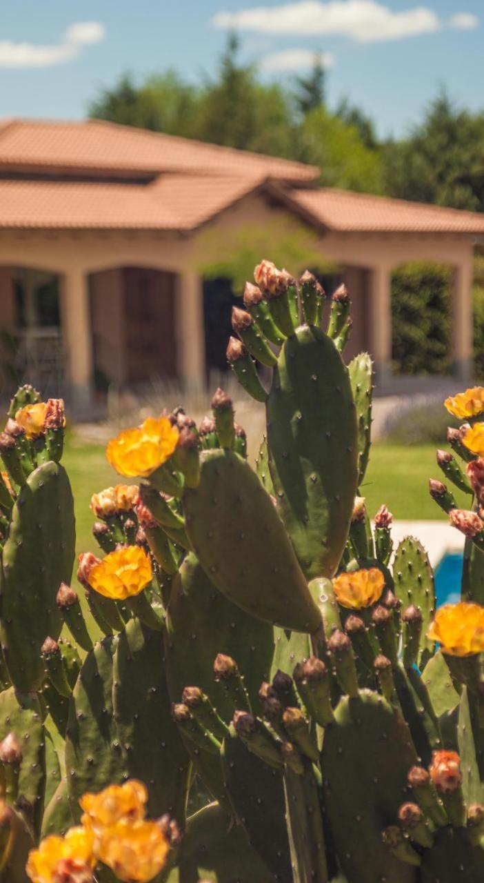 Casona Aventurados Villa Lujan de Cuyo Dış mekan fotoğraf
