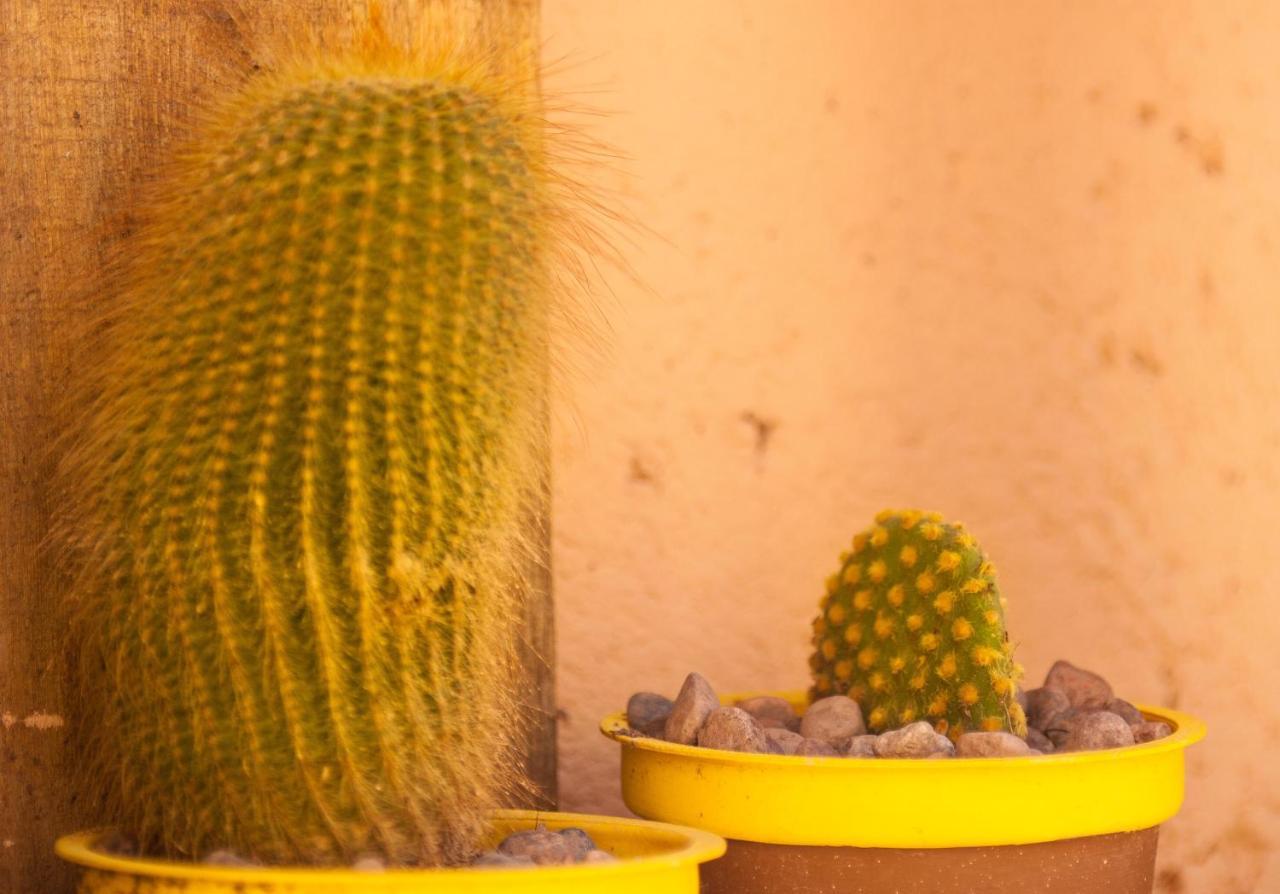 Casona Aventurados Villa Lujan de Cuyo Dış mekan fotoğraf